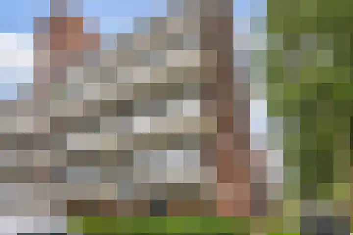 Swadenburg 2 Gouda thumbnail 33