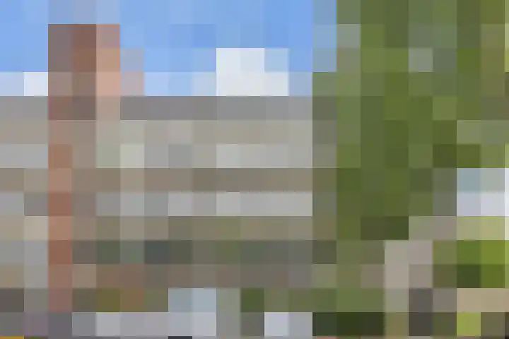 Swadenburg 2 Gouda thumbnail 6