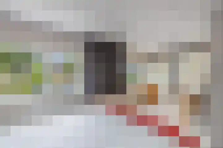 Swalmstraat 7 Emmeloord thumbnail 16