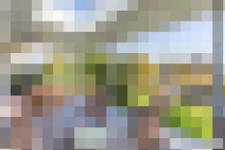 Swalp 9 Lemmer thumbnail 18