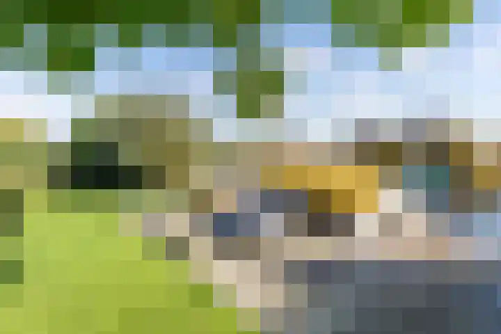 Swalp 9 Lemmer thumbnail 19