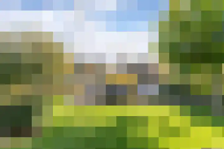 Swalp 9 Lemmer thumbnail 20