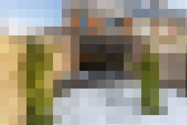 Swammerdamplein 2 Haarlem thumbnail 13