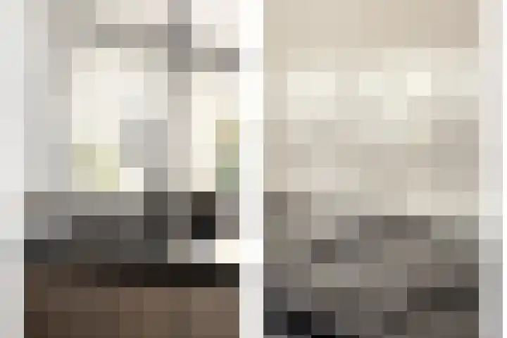 Swammerdamplein 2 Haarlem thumbnail 6