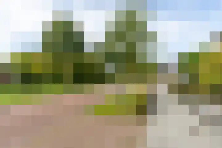 Swanenburg 22 Marum thumbnail 55
