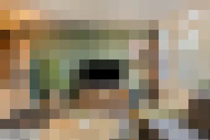 Swanenburg 236 Deventer thumbnail 12