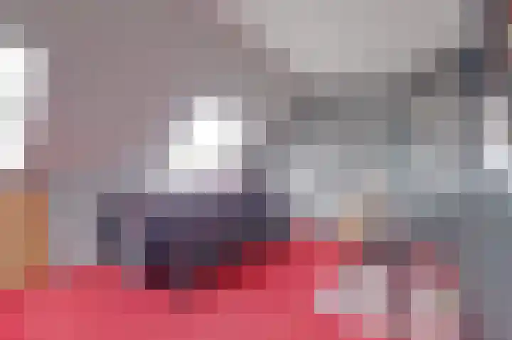 Sweelinck 11 Monster thumbnail 10