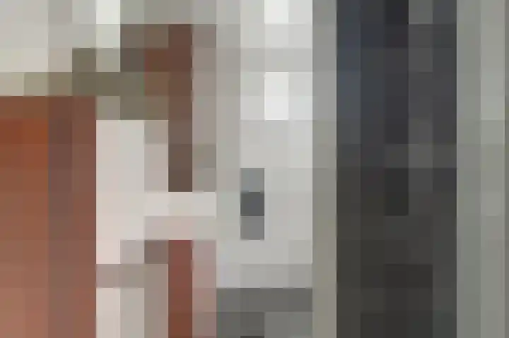 Sweelinck 11 Monster thumbnail 14