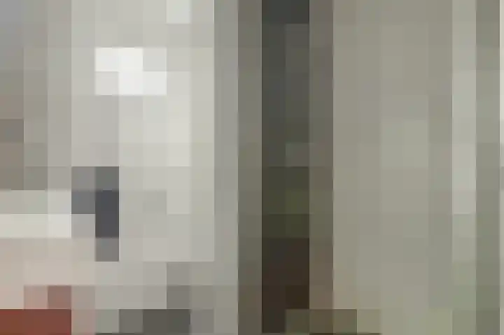 Sweelinck 11 Monster thumbnail 15