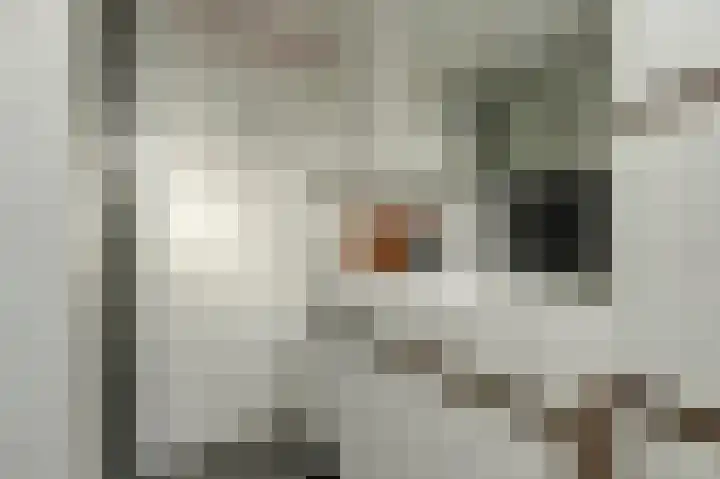 Sweelinck 11 Monster thumbnail 16