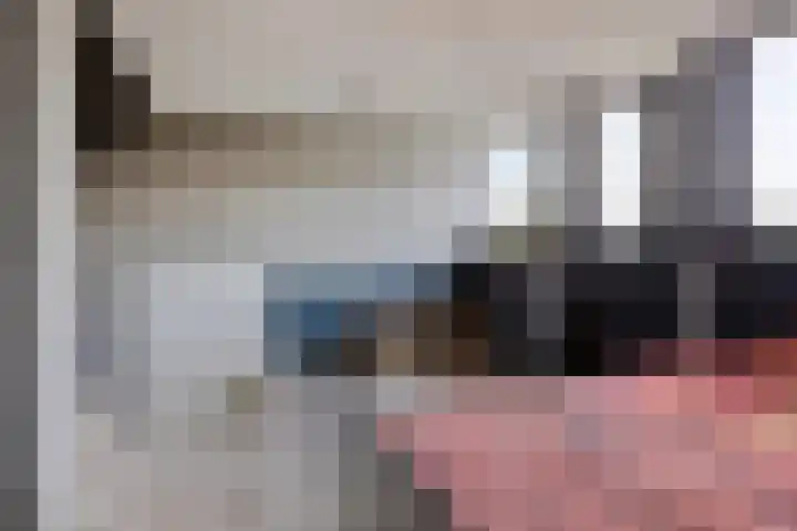 Sweelinck 11 Monster thumbnail 18