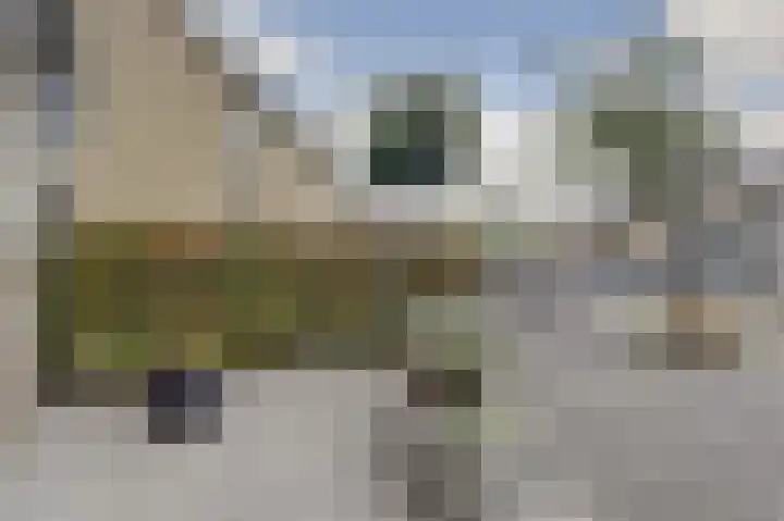 Sweelinck 11 Monster thumbnail 23