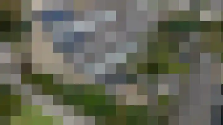 Sweelinck 11 Monster thumbnail 25