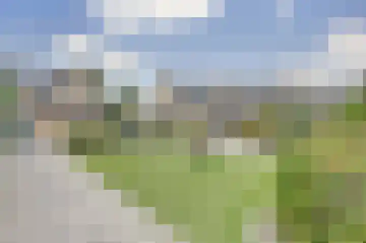 Sweelinck 11 Monster thumbnail 27