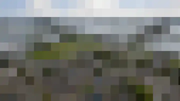 Sweelinck 11 Monster thumbnail 28