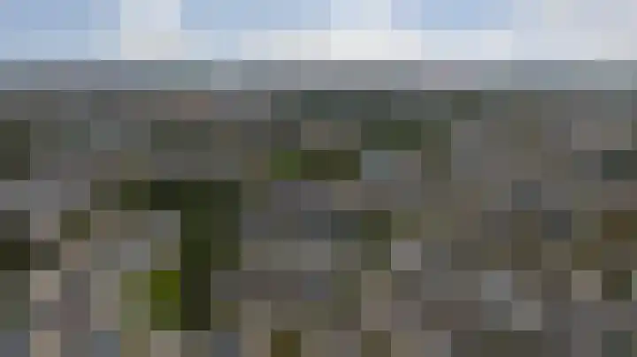 Sweelinck 11 Monster thumbnail 29