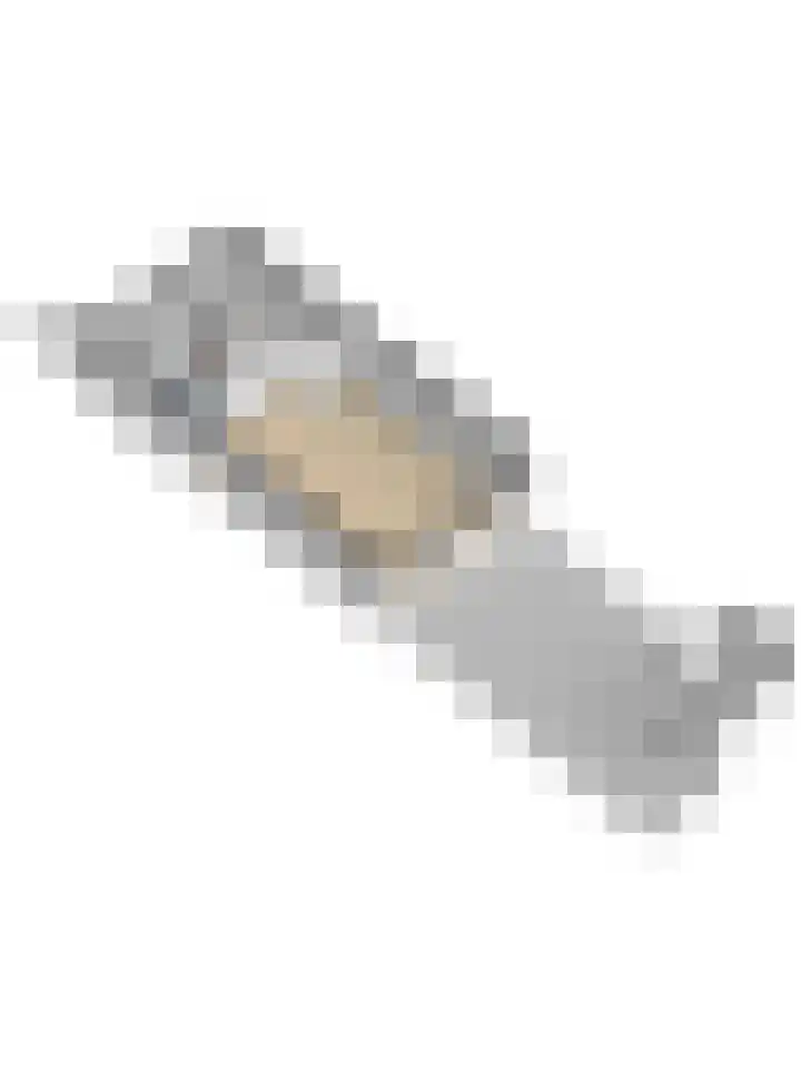 Sweelinck 11 Monster thumbnail 40