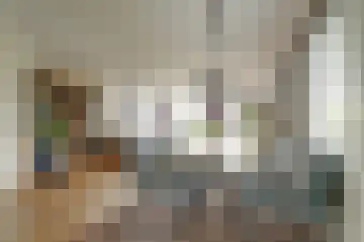 Sweelinck 11 Monster thumbnail 7