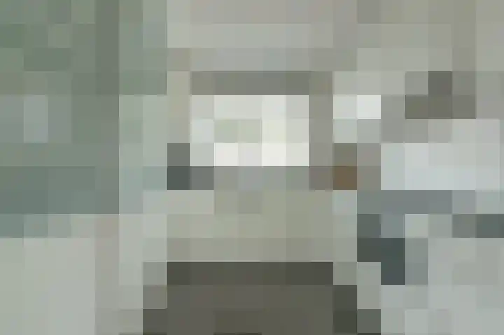 Sweelinck 11 Monster thumbnail 8