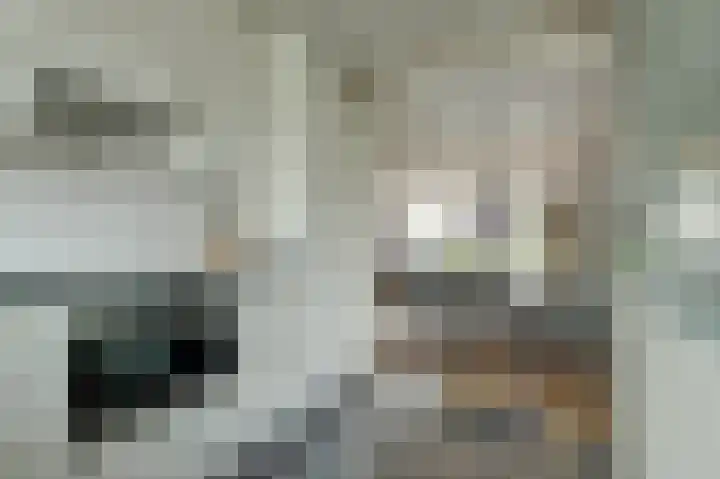 Sweelinck 11 Monster thumbnail 9