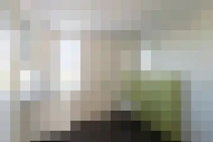 Sweelincklaan 2 Helmond thumbnail 20