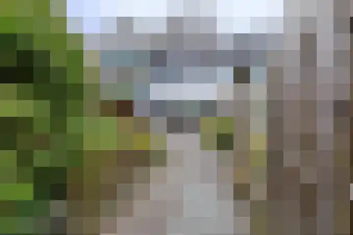 Sweelincklaan 6 Ede thumbnail 37