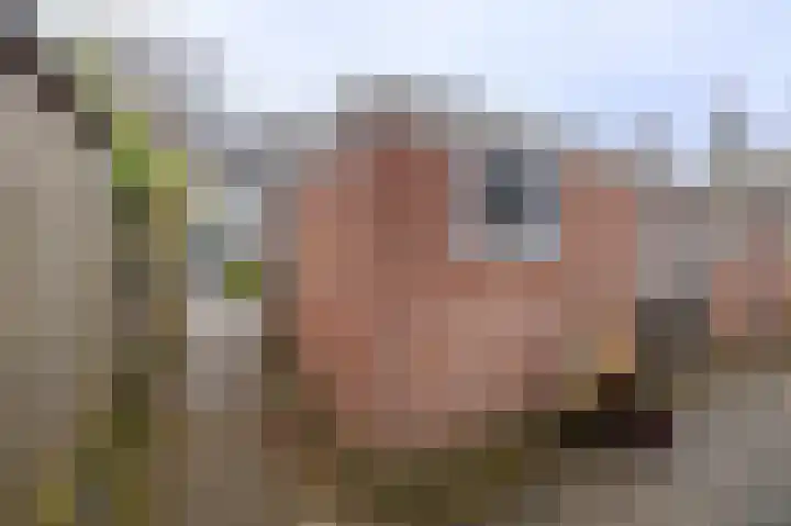 Sweelincklaan 6 Ede thumbnail 38
