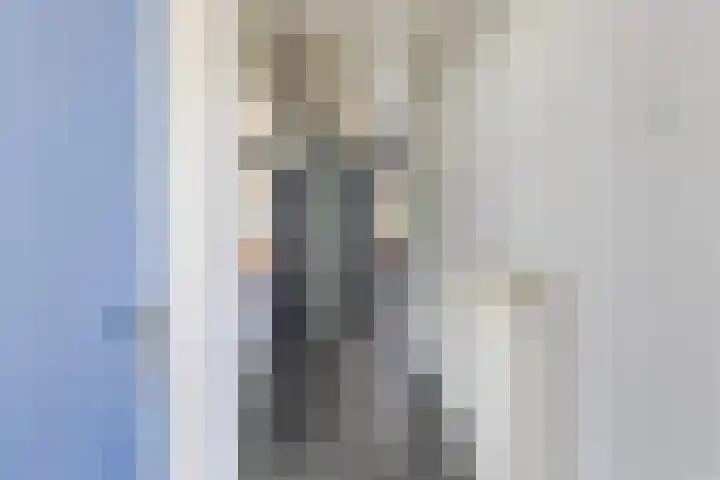 Sweelinckstraat 15 Numansdorp thumbnail 4