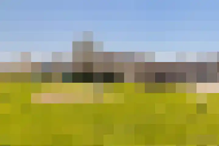 Sweelinckstraat 15 Numansdorp thumbnail 40