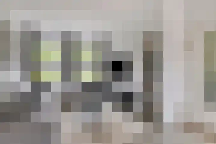 Sweelinckstraat 8 Heerlen thumbnail 7