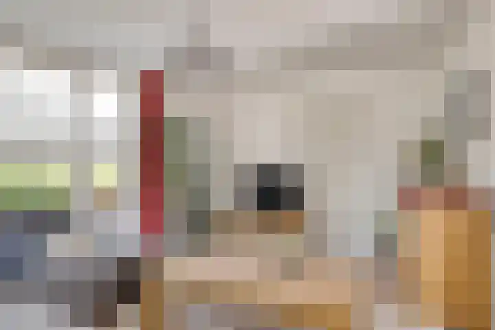 Sweensstraat 2 Kaatsheuvel thumbnail 11