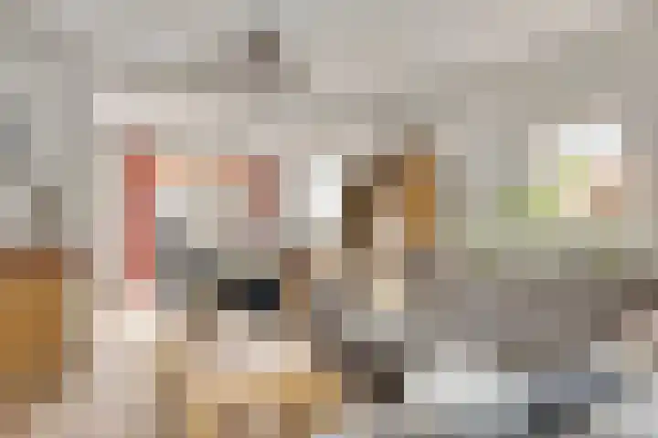 Sweensstraat 2 Kaatsheuvel thumbnail 12