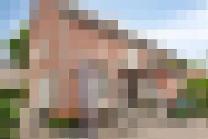 Sweensstraat 2 Kaatsheuvel thumbnail 30