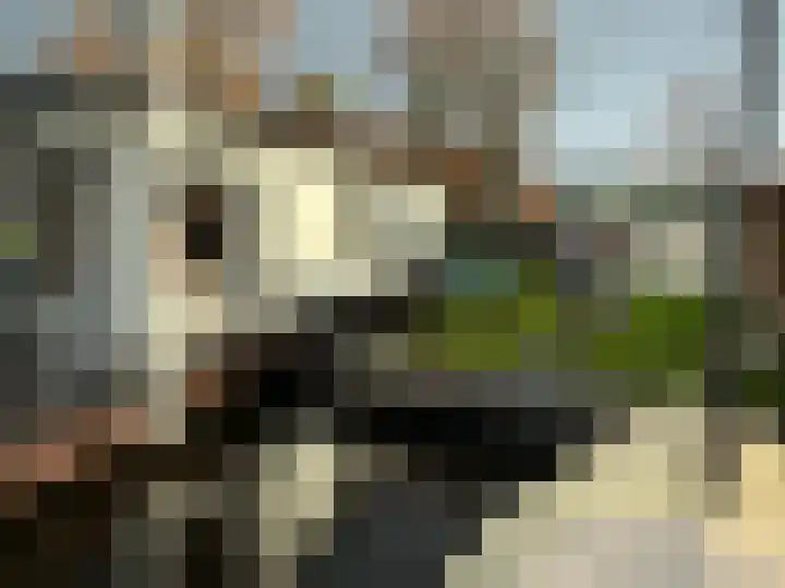 Sweilandpolder 16 l Warmond thumbnail 19