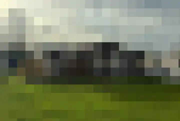 Sweilandpolder 16 l Warmond foto 3