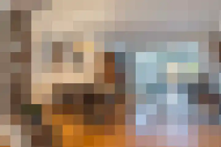 Swier 13 Wijnandsrade thumbnail 10