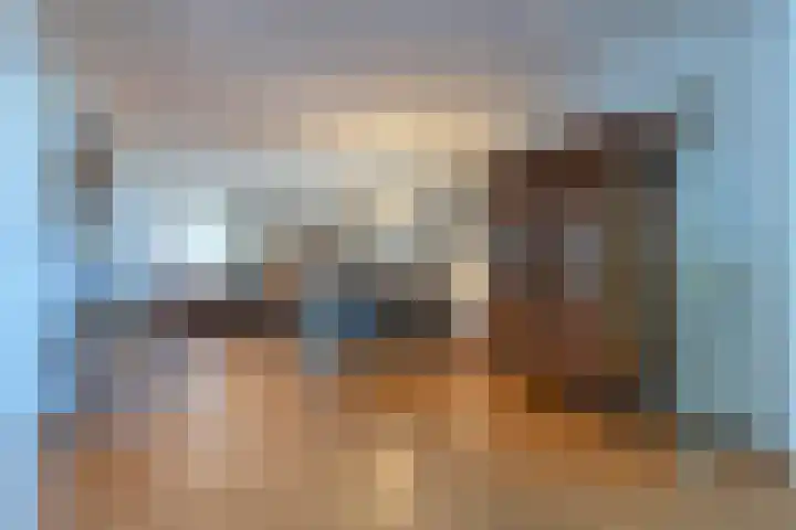 Swier 13 Wijnandsrade thumbnail 12