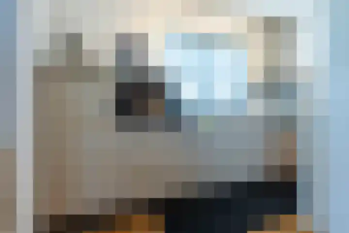 Swier 13 Wijnandsrade thumbnail 13