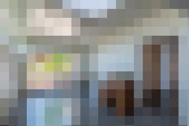 Swier 13 Wijnandsrade thumbnail 19