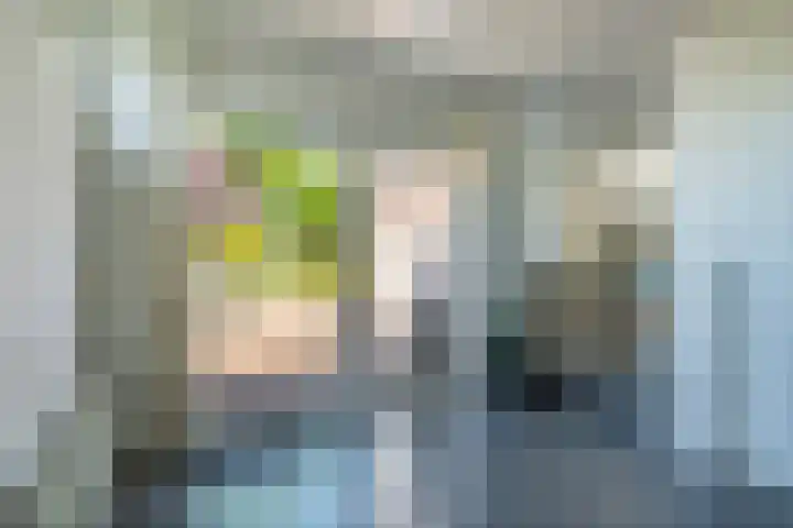 Swier 13 Wijnandsrade thumbnail 21