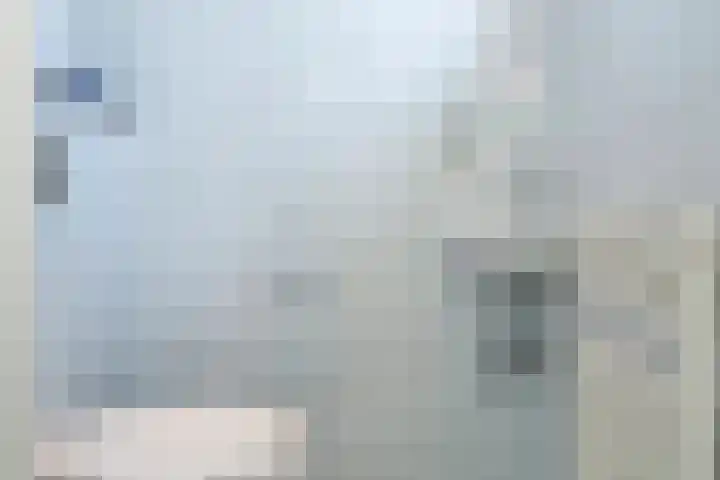 Swier 13 Wijnandsrade thumbnail 24