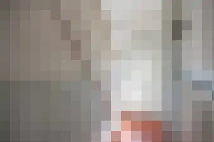 Swier 13 Wijnandsrade thumbnail 25