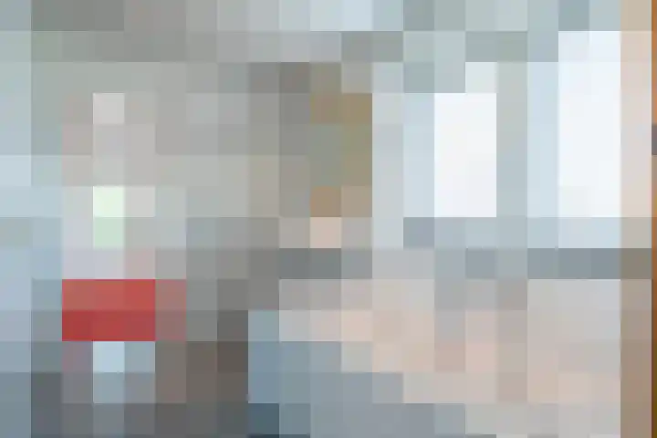 Swier 13 Wijnandsrade thumbnail 26