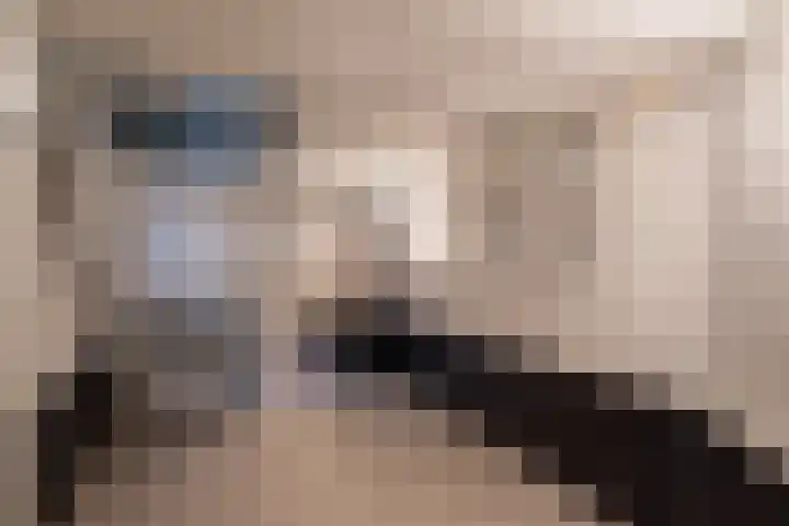 Swier 13 Wijnandsrade thumbnail 40