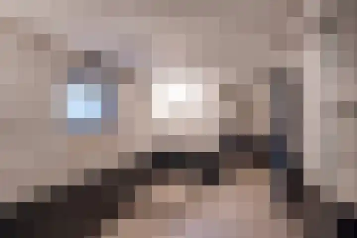 Swier 13 Wijnandsrade thumbnail 42