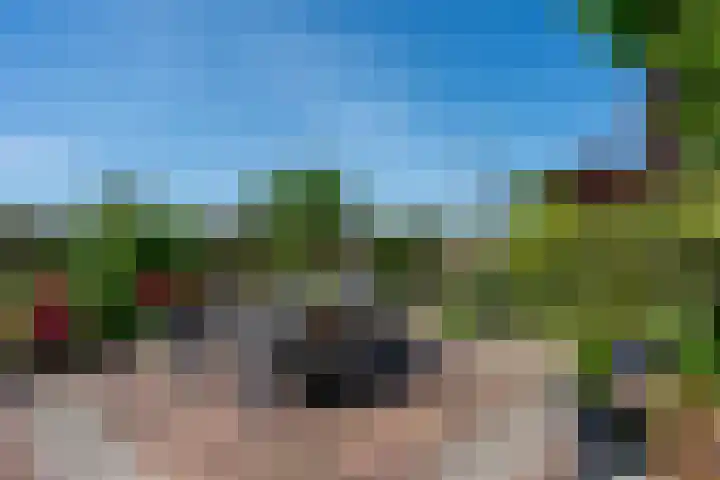 Swier 13 Wijnandsrade thumbnail 44