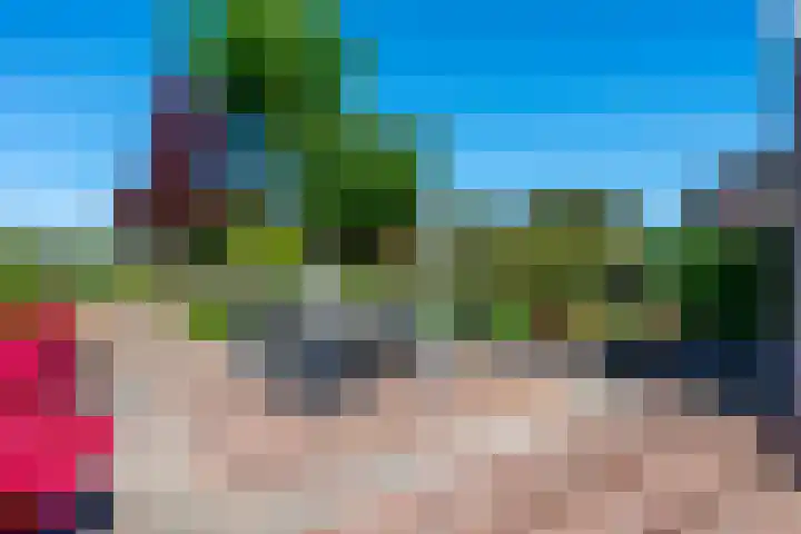 Swier 13 Wijnandsrade thumbnail 45