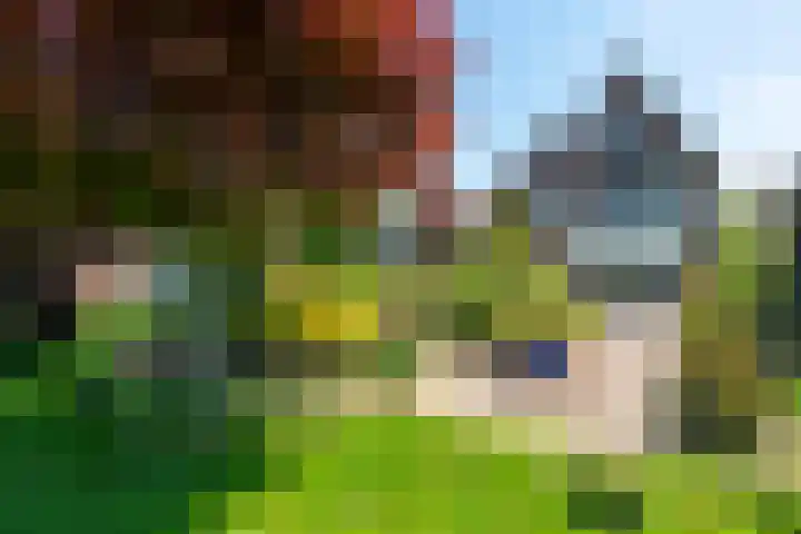 Swier 13 Wijnandsrade thumbnail 47