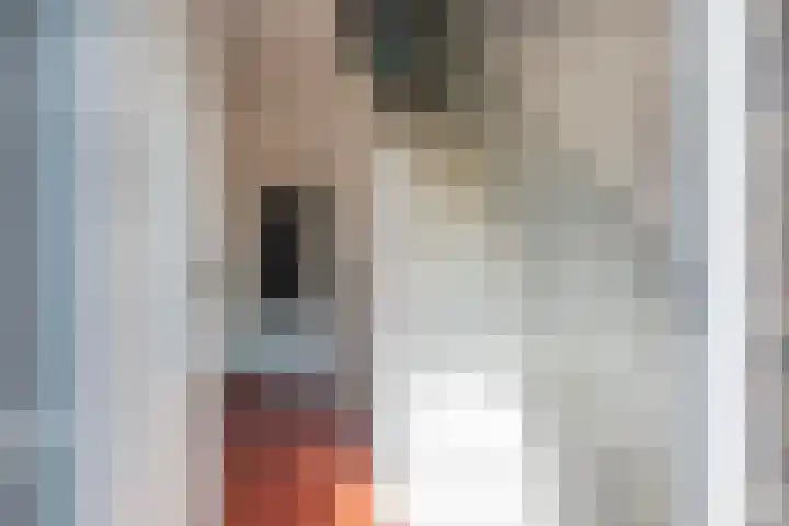 Swier 13 Wijnandsrade thumbnail 5