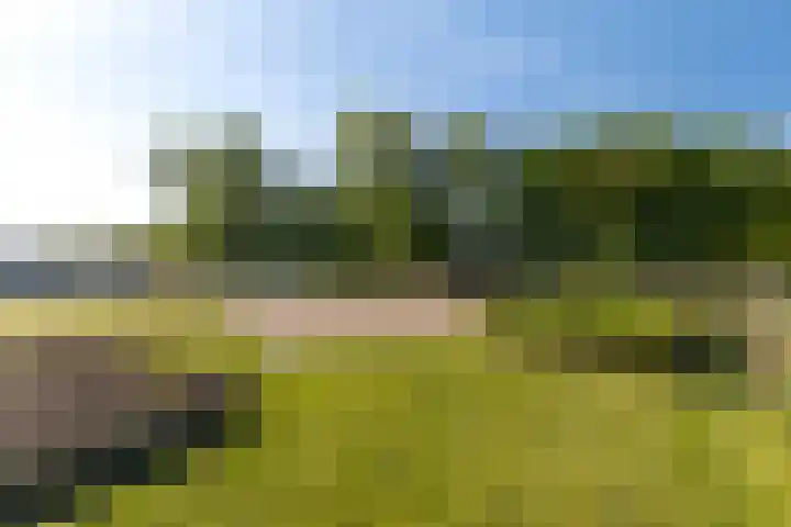 Syl 1000 Terherne thumbnail 18